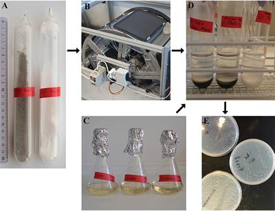 Silicates Eroded under Simulated Martian Conditions Effectively Kill Bacteria—A Challenge for Life on Mars